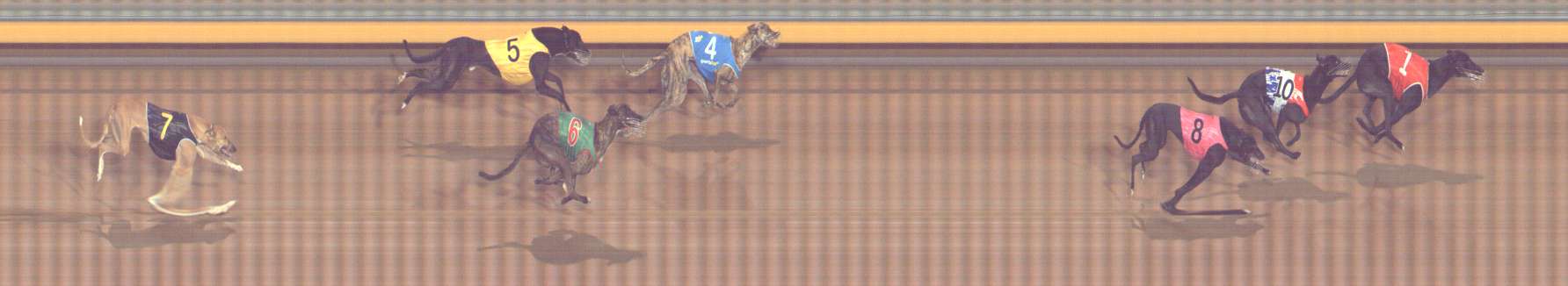 Photo finish for Bendigo Race 4