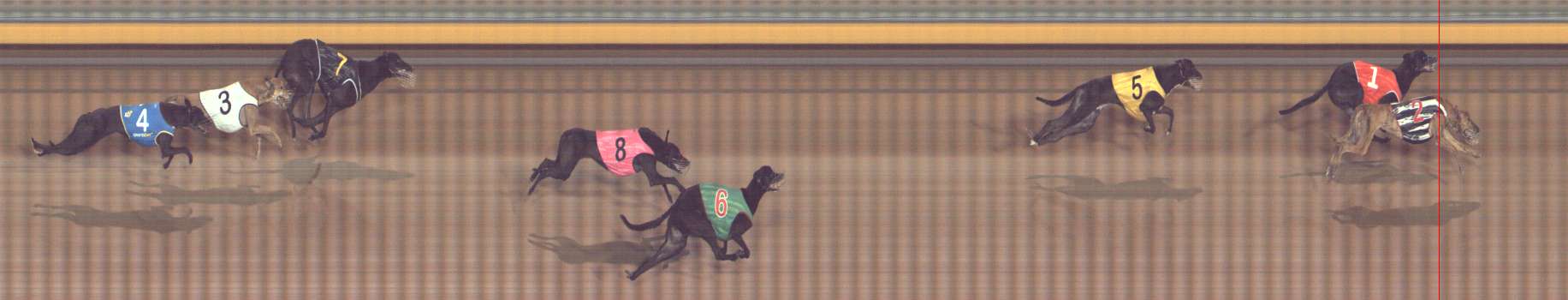 Photo finish for Bendigo Race 5