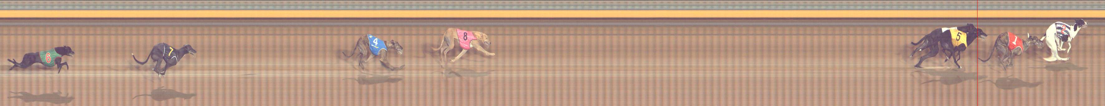 Photo finish for Bendigo Race 7