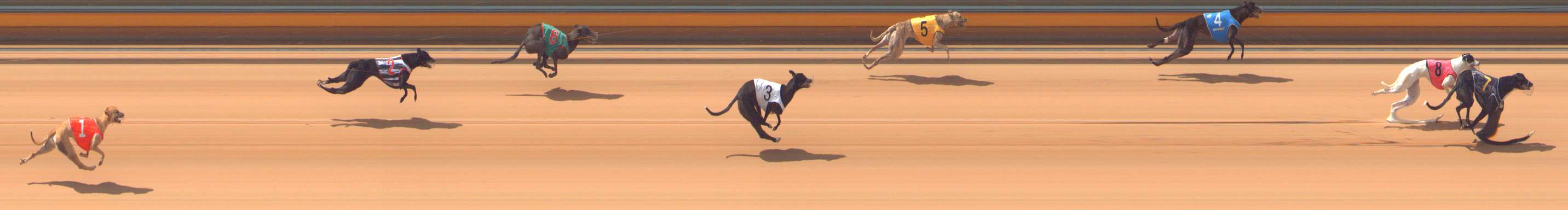 Photo finish for Bendigo Race 1