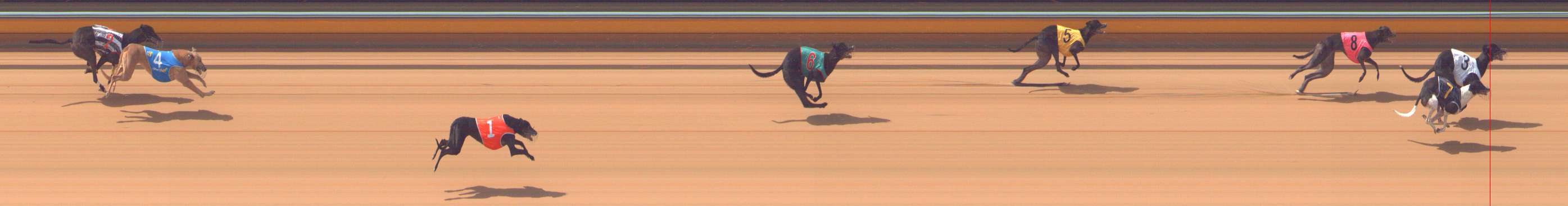 Photo finish for Bendigo Race 2