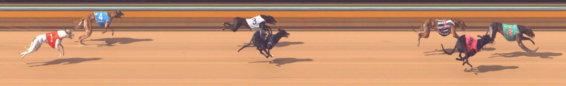Photo finish for Bendigo Race 8