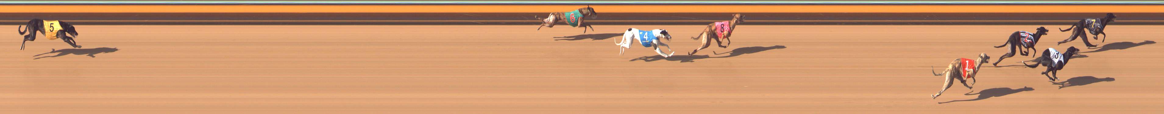 Photo finish for Bendigo Race 10
