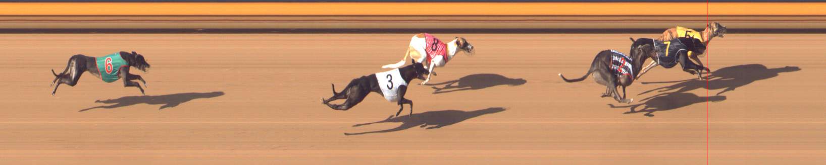 Photo finish for Bendigo Race 11