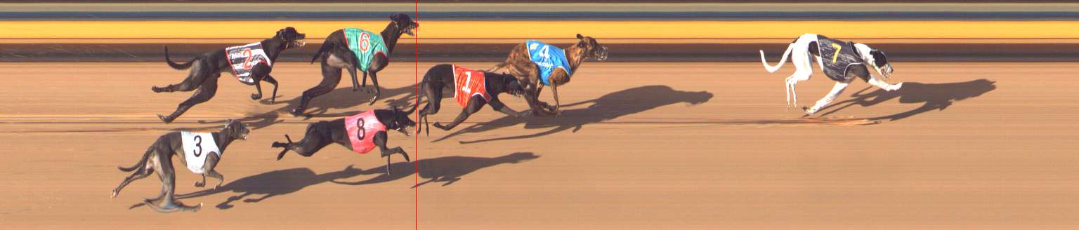 Photo finish for Bendigo Race 12