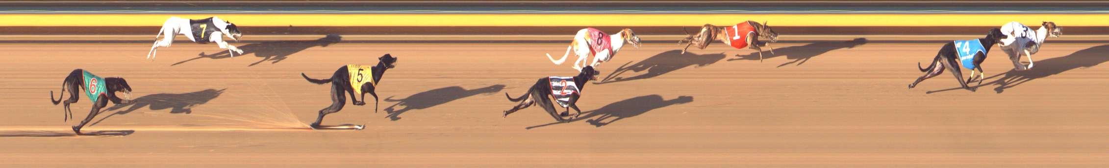 Photo finish for Bendigo Race 13
