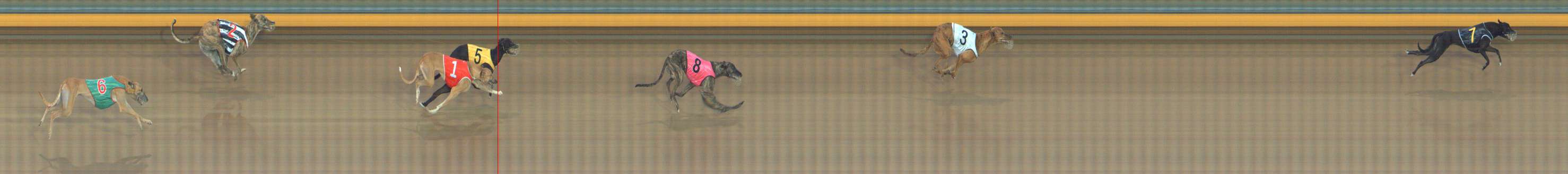 Photo finish for Bendigo Race 2
