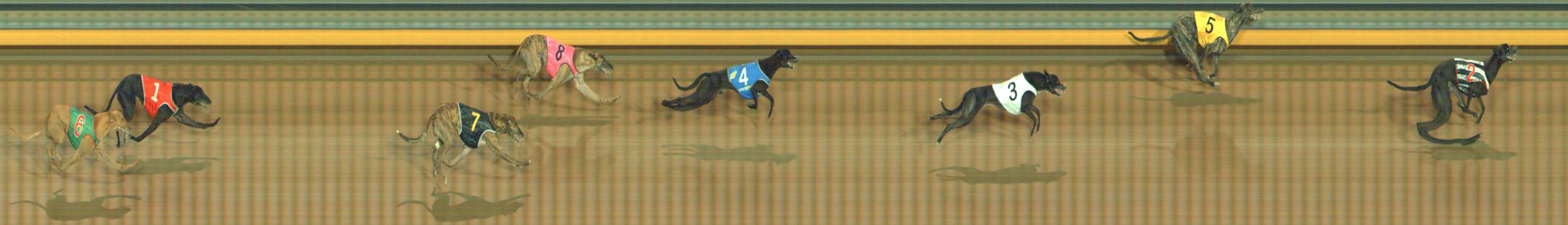 Photo finish for Bendigo Race 5