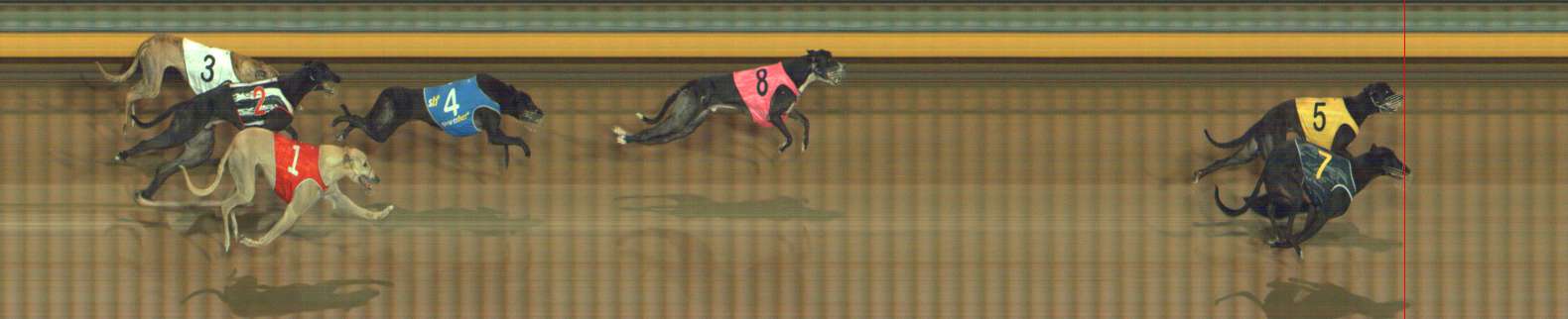 Photo finish for Bendigo Race 7