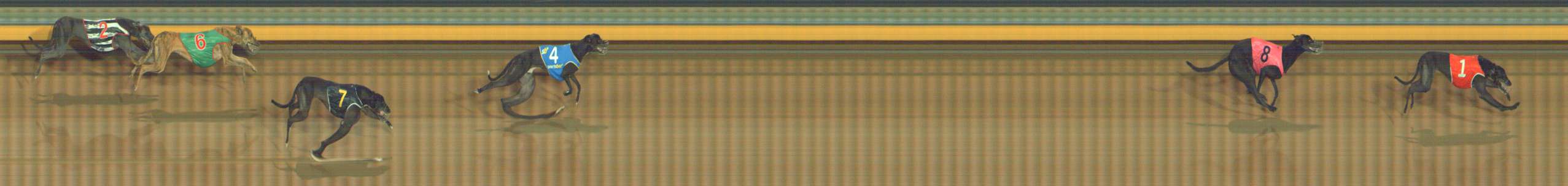 Photo finish for Bendigo Race 8