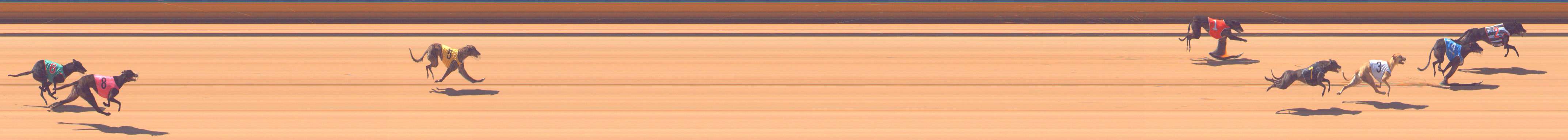 Photo finish for Bendigo Race 1