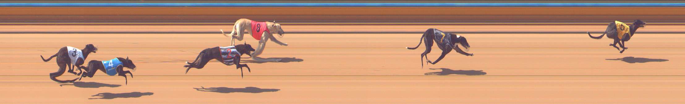 Photo finish for Bendigo Race 3