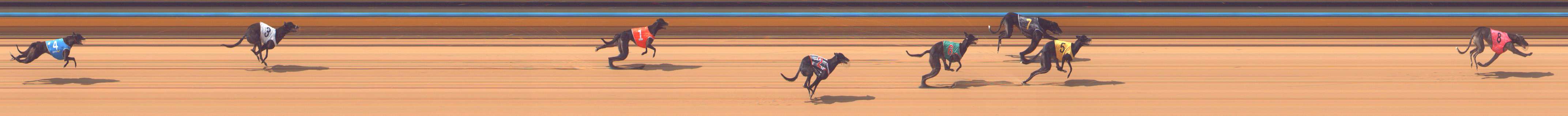 Photo finish for Bendigo Race 5