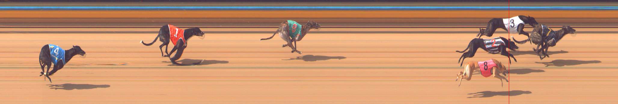 Photo finish for Bendigo Race 6