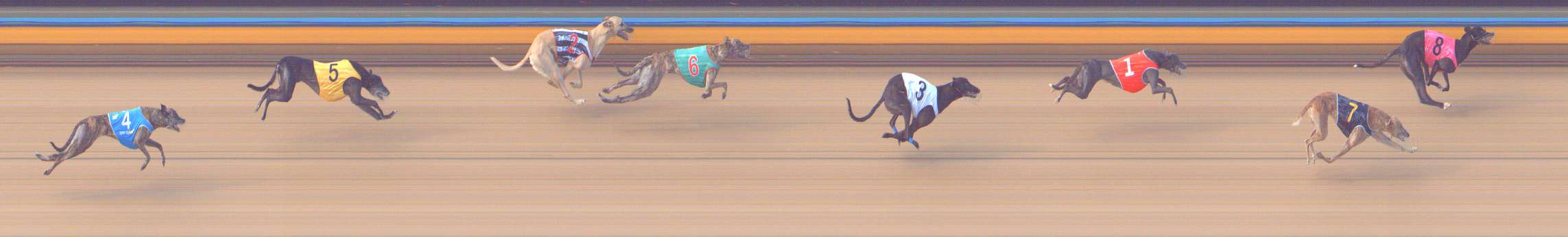 Photo finish for Bendigo Race 8