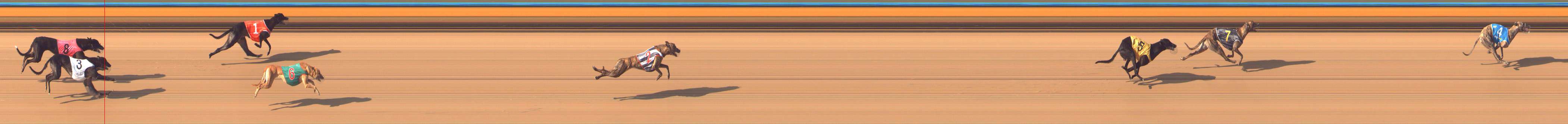 Photo finish for Bendigo Race 9