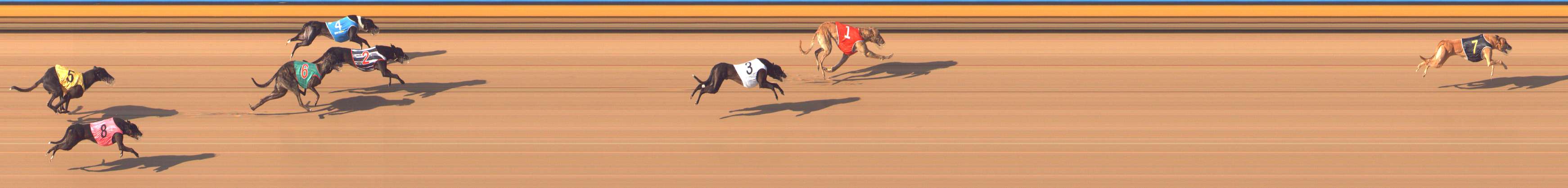 Photo finish for Bendigo Race 10