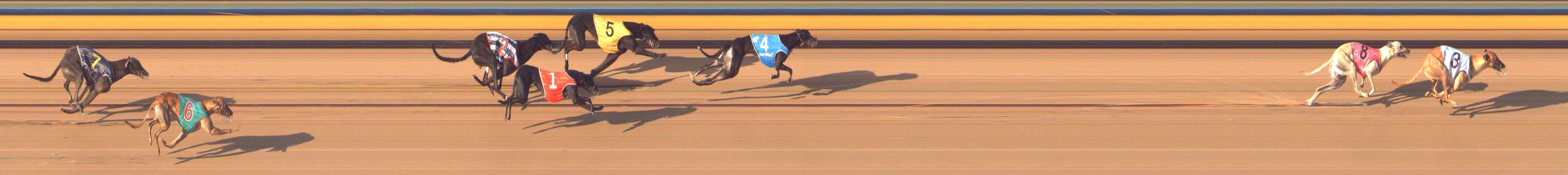 Photo finish for Bendigo Race 11