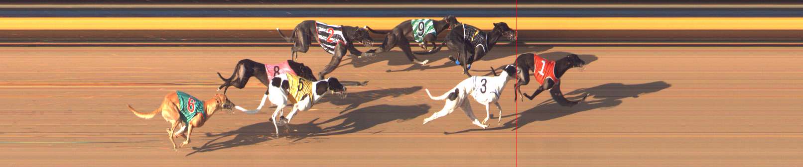 Photo finish for Bendigo Race 12