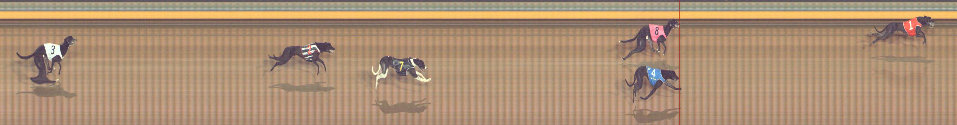 Photo finish for Bendigo Race 5
