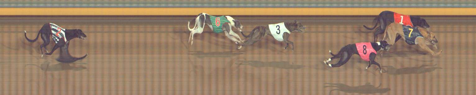 Photo finish for Bendigo Race 6