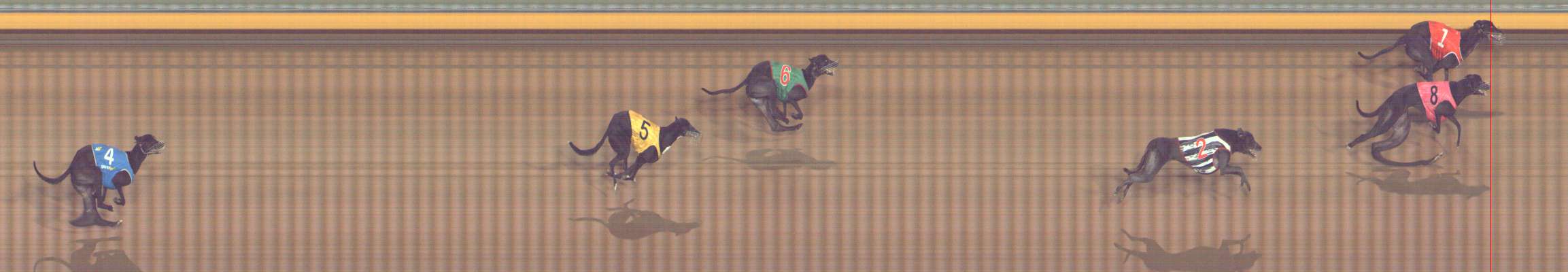 Photo finish for Bendigo Race 8