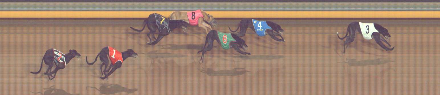 Photo finish for Bendigo Race 9