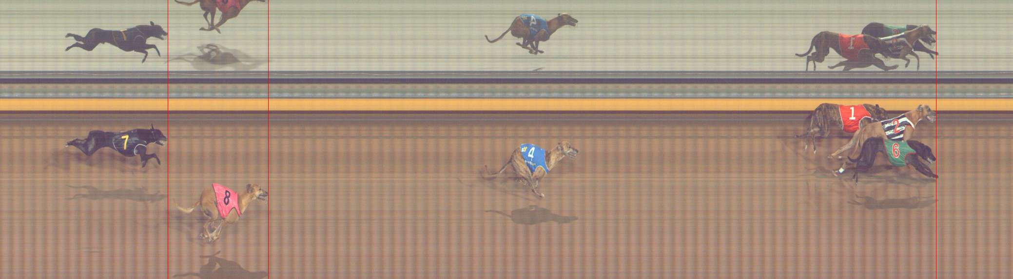 Photo finish for Bendigo Race 12