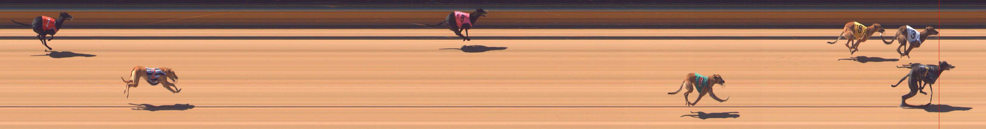 Photo finish for Bendigo Race 1