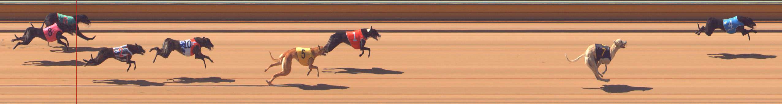 Photo finish for Bendigo Race 2