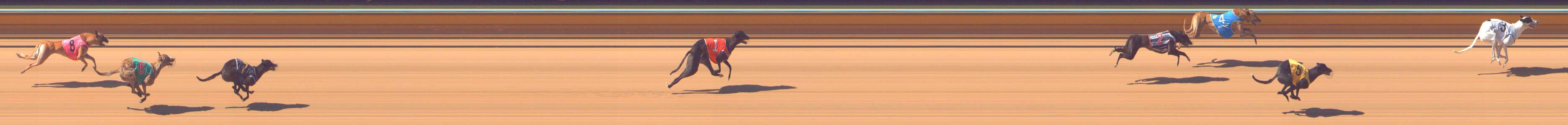 Photo finish for Bendigo Race 4