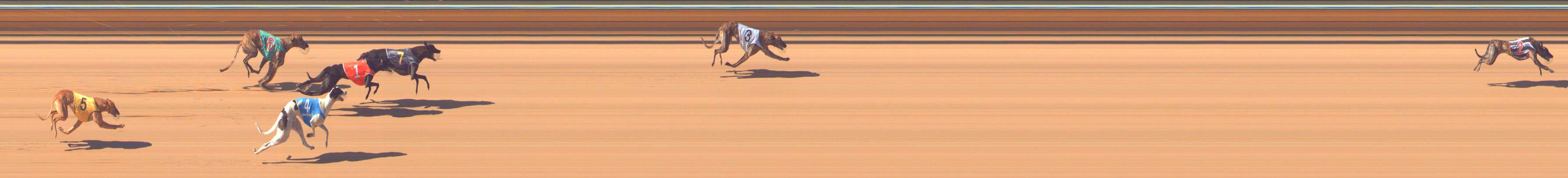 Photo finish for Bendigo Race 5
