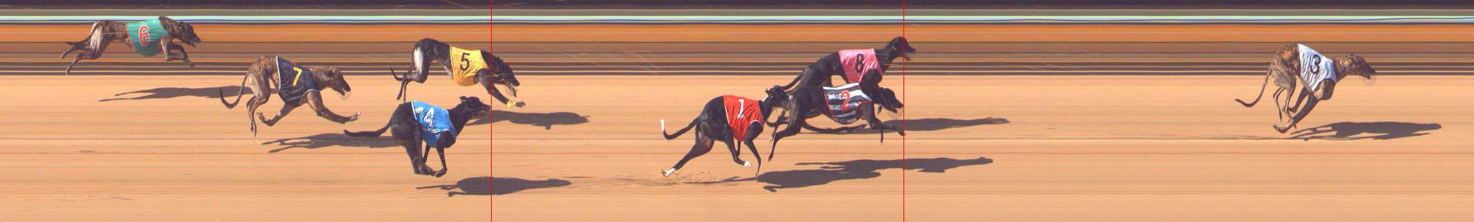 Photo finish for Bendigo Race 6