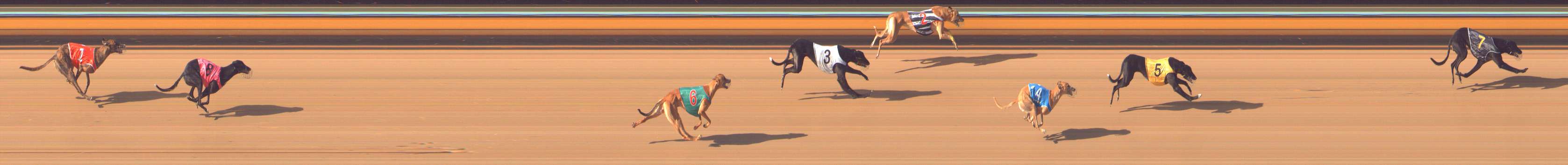 Photo finish for Bendigo Race 7