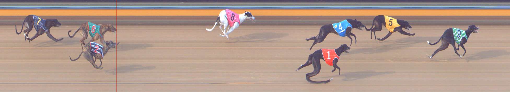 Photo finish for Bendigo Race 8