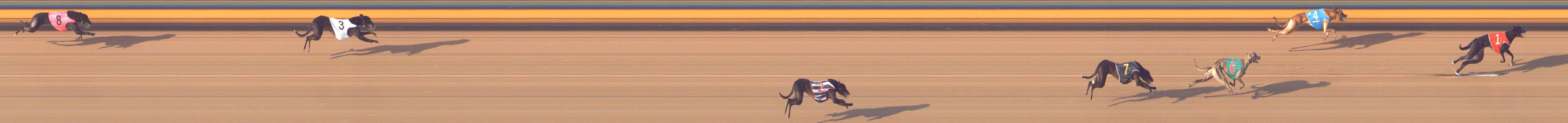 Photo finish for Bendigo Race 9