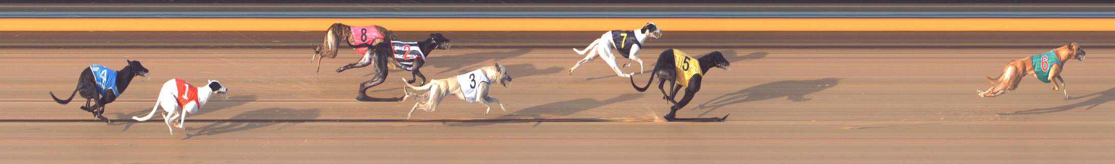 Photo finish for Bendigo Race 10