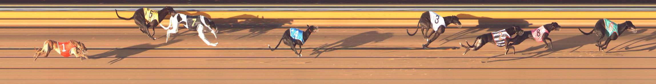 Photo finish for Bendigo Race 11