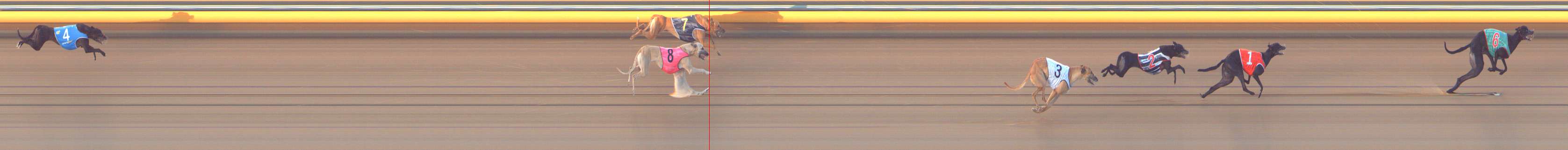 Photo finish for Bendigo Race 12