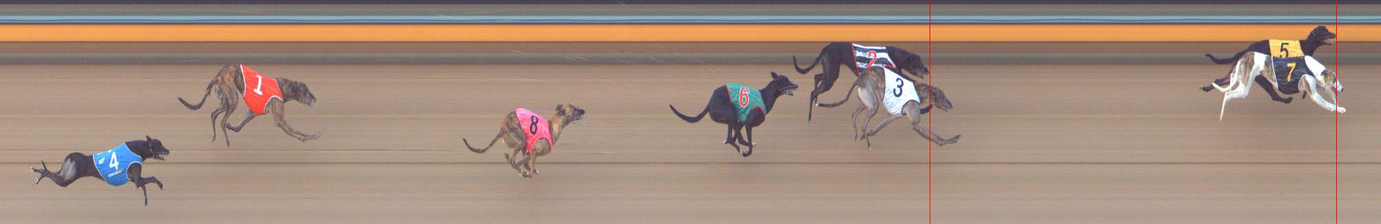 Photo finish for Bendigo Race 13