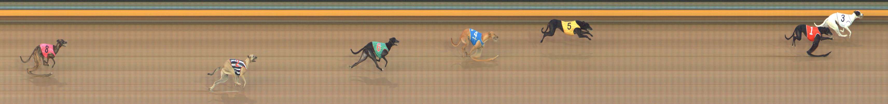Photo finish for Bendigo Race 1