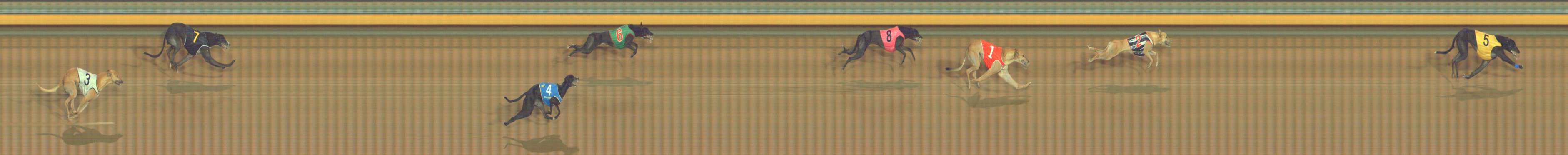 Photo finish for Bendigo Race 4