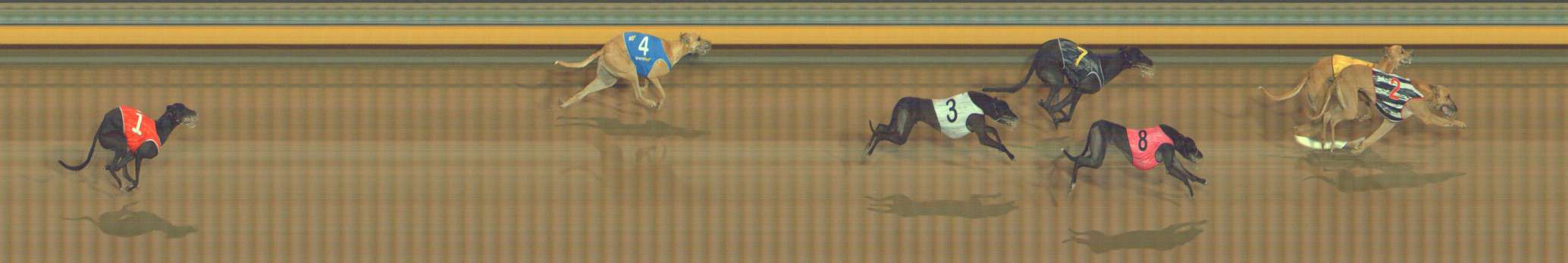 Photo finish for Bendigo Race 6