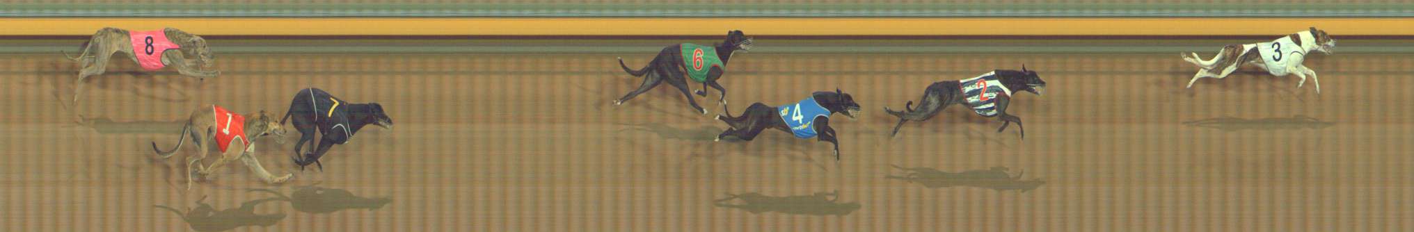 Photo finish for Bendigo Race 7