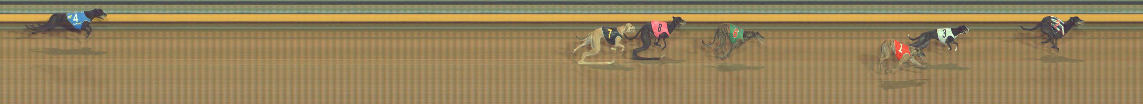 Photo finish for Bendigo Race 8