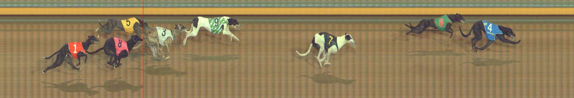 Photo finish for Bendigo Race 9