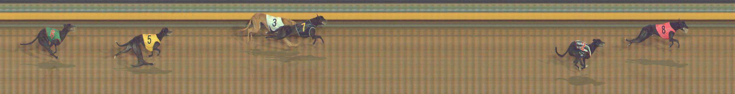 Photo finish for Bendigo Race 12