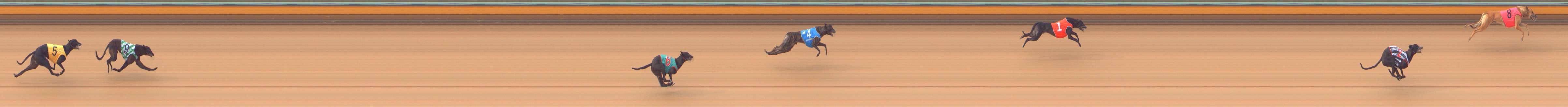 Photo finish for Bendigo Race 2