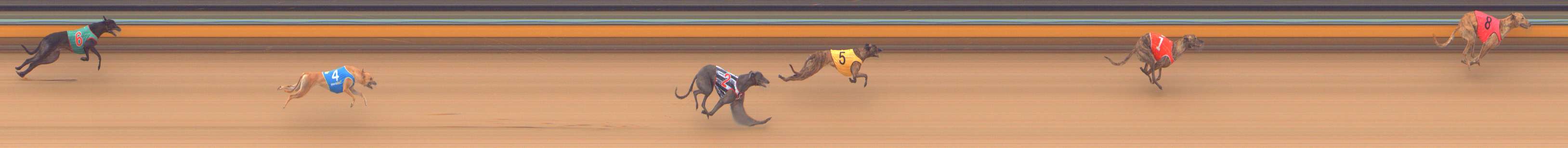 Photo finish for Bendigo Race 3