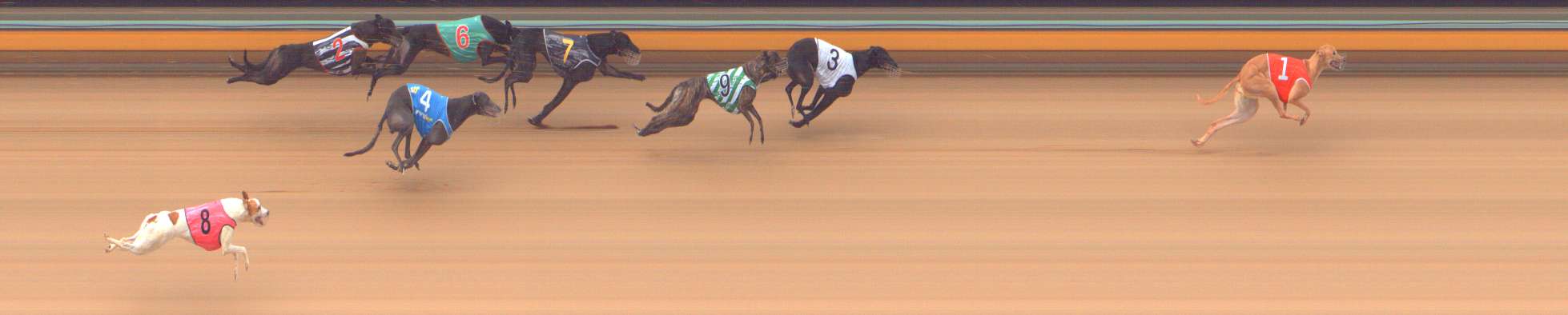 Photo finish for Bendigo Race 5